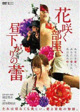 画质对比表入口缩略图